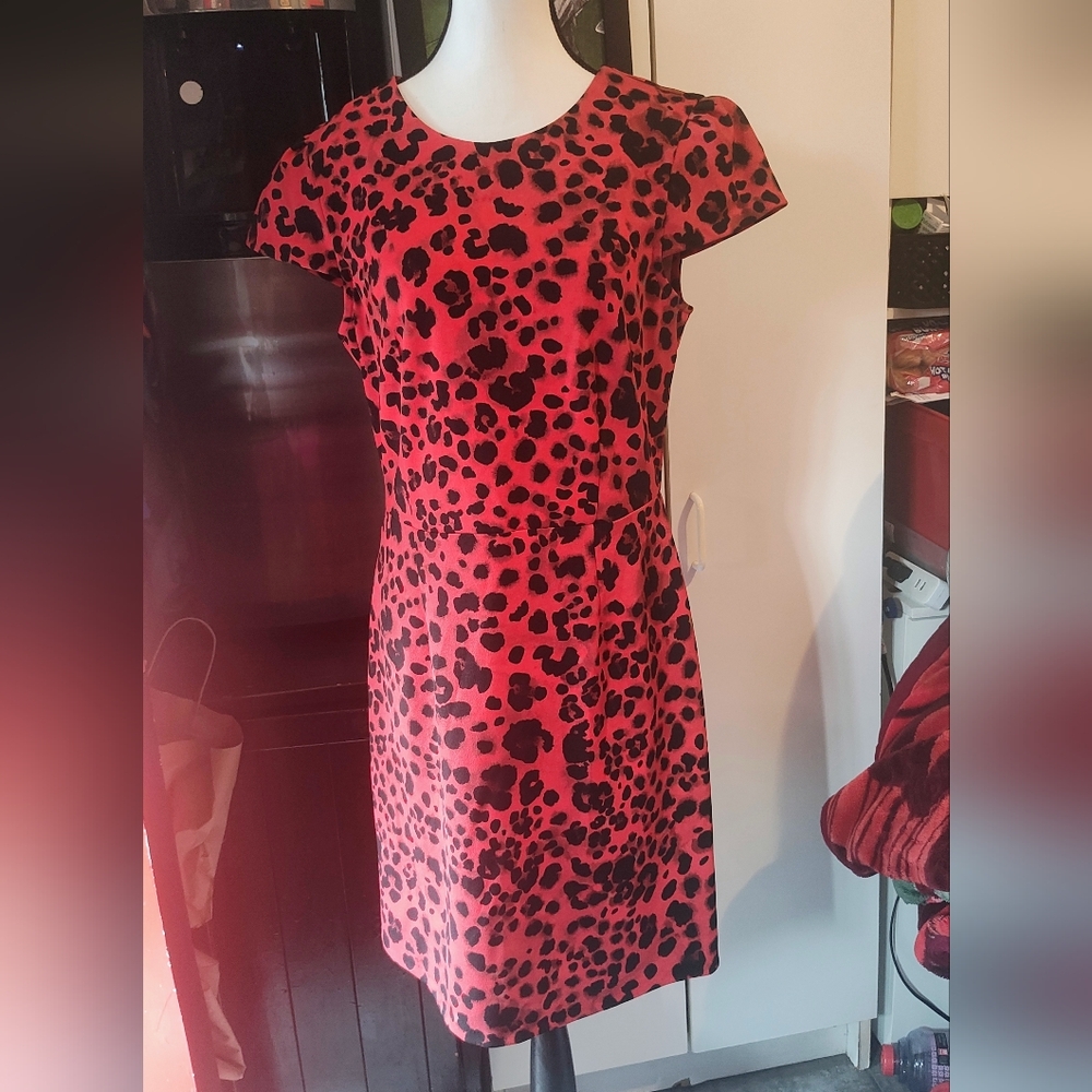 Betsey Johnson Red and Black Mini Dress - Picture 4 of 13